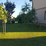 Roza Zelistrzewo